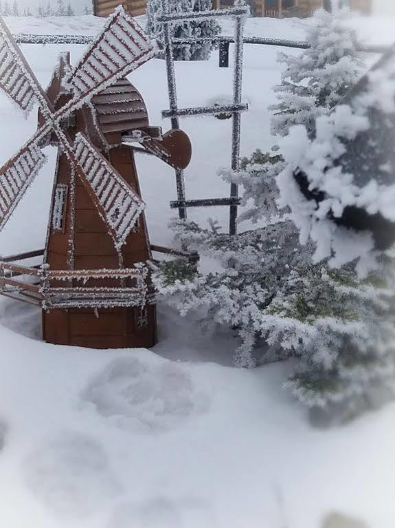 Pośrednia * Zakopane